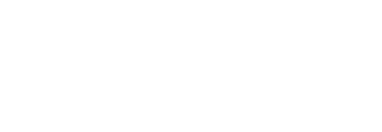 Dynamatic Business 
